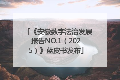 《安徽数字法治发展报告NO.1（2025）》蓝皮书发布