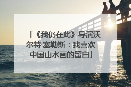 《我仍在此》导演沃尔特·塞勒斯：我喜欢中国山水画的留白
