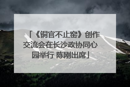 《铜官不止窑》创作交流会在长沙政协同心园举行 陈刚出席