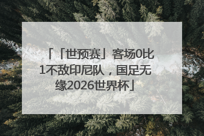 「世预赛」客场0比1不敌印尼队，国足无缘2026世界杯