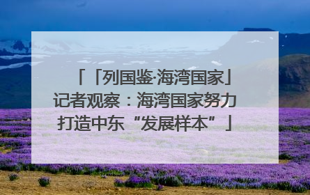 「列国鉴·海湾国家」记者观察：海湾国家努力打造中东“发展样本”