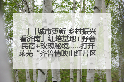 「城市更新 乡村振兴看济南」红培基地+野奢民宿+玫瑰秘境……打开莱芜“齐鲁情映山红片区”的破圈秘籍