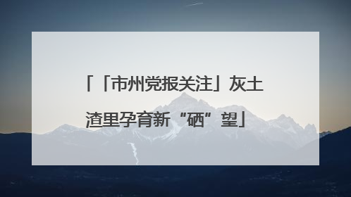 「市州党报关注」灰土渣里孕育新“硒”望
