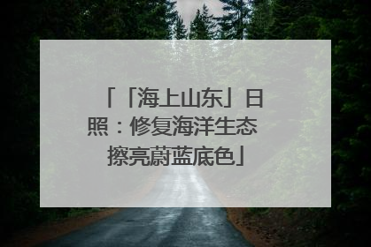 「海上山东」日照：修复海洋生态 擦亮蔚蓝底色