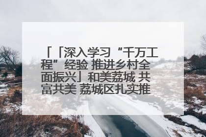 「深入学习“千万工程”经验 推进乡村全面振兴」和美荔城 共富共美 荔城区扎实推进乡村振兴工作