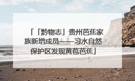 「黔物志」贵州芭蕉家族新增成员——习水自然保护区发现黄苞芭蕉