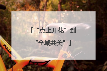 “点上开花”到“全域共美”