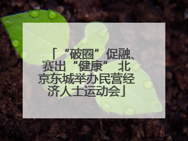 “破圈”促融、赛出“健康” 北京东城举办民营经济人士运动会