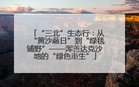“三北”生态行：从“黄沙蔽日”到“绿毯铺野”——浑善达克沙地的“绿色重生”