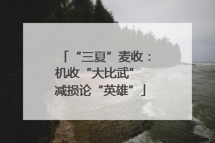 “三夏”麦收：机收“大比武” 减损论“英雄”