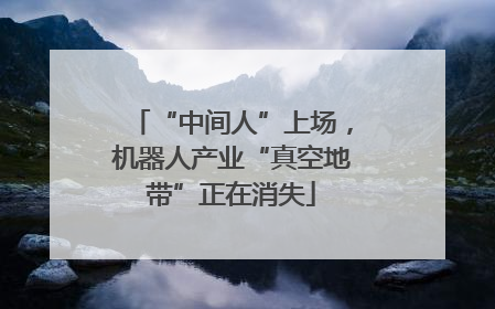 “中间人”上场，机器人产业“真空地带”正在消失
