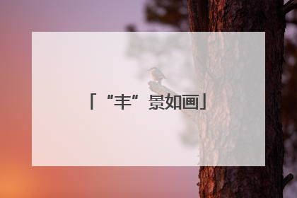 “丰”景如画