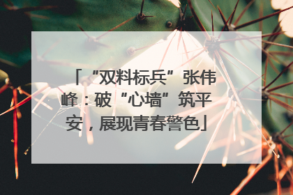 “双料标兵”张伟峰：破“心墙”筑平安，展现青春警色