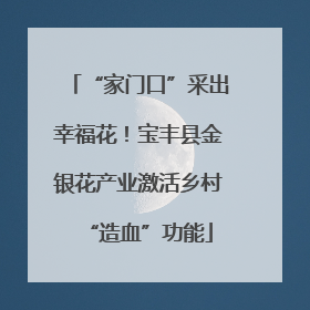 “家门口”采出幸福花！宝丰县金银花产业激活乡村“造血”功能