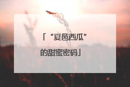 “夏邑西瓜”的甜蜜密码