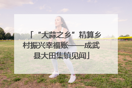 “大蒜之乡”精算乡村振兴幸福账——成武县大田集镇见闻