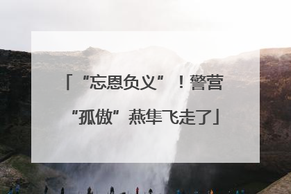 “忘恩负义”！警营“孤傲”燕隼飞走了