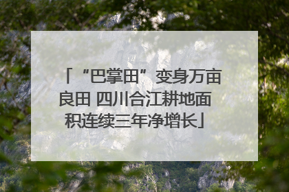 “巴掌田”变身万亩良田 四川合江耕地面积连续三年净增长