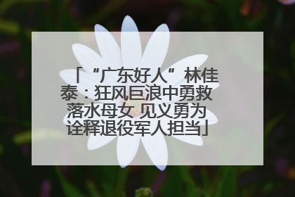“广东好人”林佳泰：狂风巨浪中勇救落水母女 见义勇为诠释退役军人担当