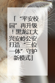 “平安校园”再升级！黑龙江大兴安岭公安打造“三位一体”守护新模式