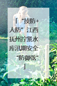 “技防+人防”江西抚州拧紧水库汛期安全“防御弦”