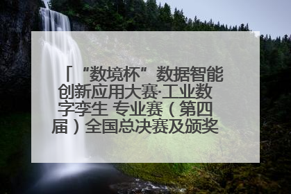 “数境杯”数据智能创新应用大赛·工业数字孪生 专业赛（第四届）全国总决赛及颁奖典礼成功举办