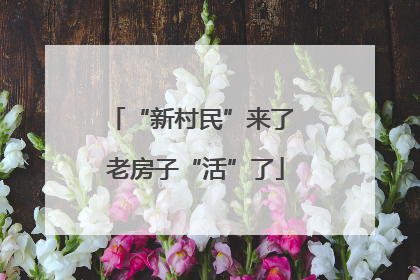 “新村民”来了 老房子“活”了
