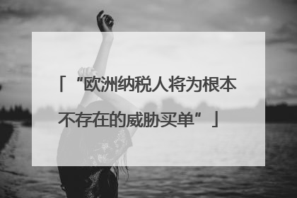“欧洲纳税人将为根本不存在的威胁买单”