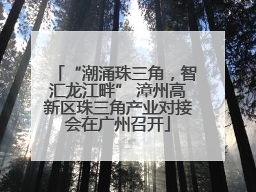 “潮涌珠三角，智汇龙江畔” 漳州高新区珠三角产业对接会在广州召开
