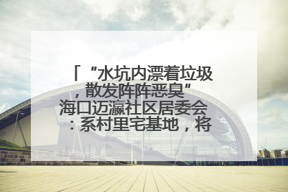 “水坑内漂着垃圾，散发阵阵恶臭” 海口迈瀛社区居委会：系村里宅基地，将派人打捞垃圾