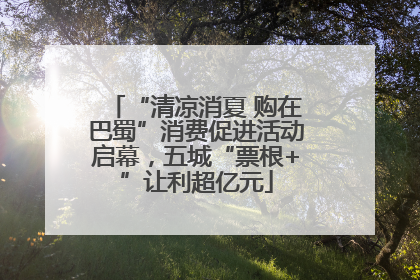 “清凉消夏 购在巴蜀”消费促进活动启幕，五城“票根+”让利超亿元