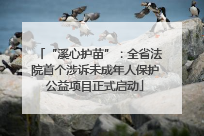 “溪心护苗”：全省法院首个涉诉未成年人保护公益项目正式启动