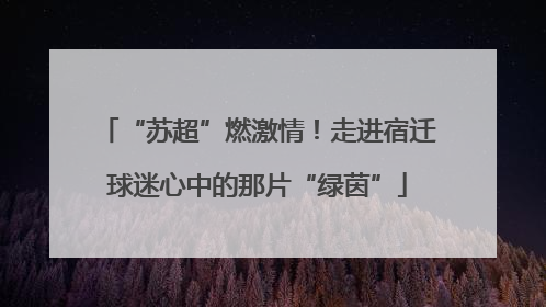 “苏超”燃激情！走进宿迁球迷心中的那片“绿茵”