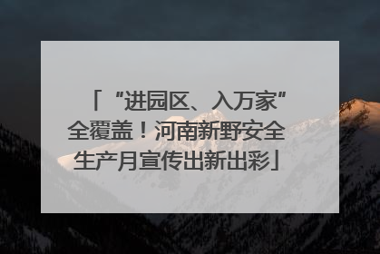 “进园区、入万家”全覆盖！河南新野安全生产月宣传出新出彩