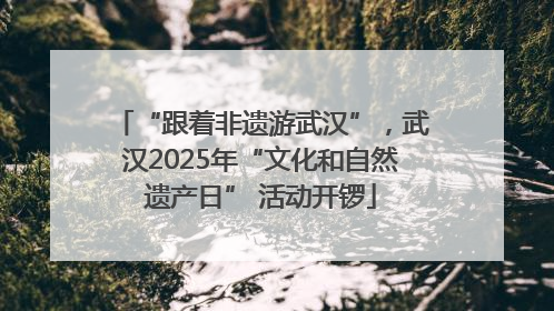 “跟着非遗游武汉”，武汉2025年“文化和自然遗产日” 活动开锣