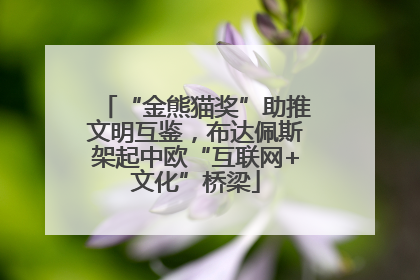 “金熊猫奖”助推文明互鉴，布达佩斯架起中欧“互联网+文化”桥梁
