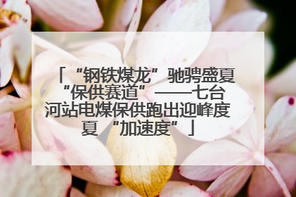 “钢铁煤龙”驰骋盛夏 “保供赛道”——七台河站电煤保供跑出迎峰度夏 “加速度”