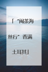“闽茶海丝行”香满土耳其
