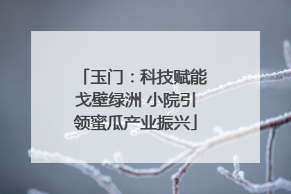 玉门：科技赋能戈壁绿洲 小院引领蜜瓜产业振兴
