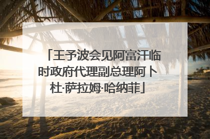 王予波会见阿富汗临时政府代理副总理阿卜杜·萨拉姆·哈纳菲