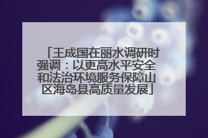 王成国在丽水调研时强调：以更高水平安全和法治环境服务保障山区海岛县高质量发展