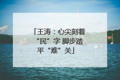 王涛：心尖刻着“民”字 脚步踏平“难”关