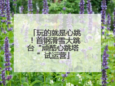 玩的就是心跳！首钢滑雪大跳台“顽酷心跳塔”试运营
