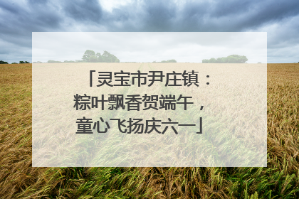 灵宝市尹庄镇：粽叶飘香贺端午，童心飞扬庆六一