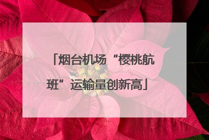 烟台机场“樱桃航班”运输量创新高