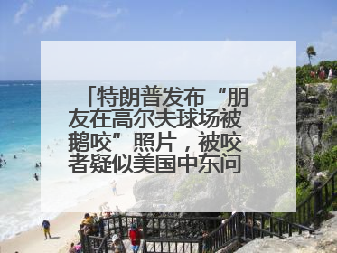特朗普发布“朋友在高尔夫球场被鹅咬”照片，被咬者疑似美国中东问题特使
