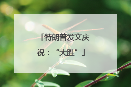 特朗普发文庆祝：“大胜”