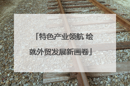 特色产业领航 绘就外贸发展新画卷