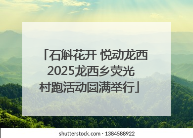 石斛花开 悦动龙西 2025龙西乡荧光村跑活动圆满举行