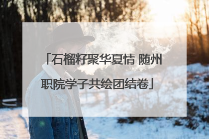 石榴籽聚华夏情 随州职院学子共绘团结卷